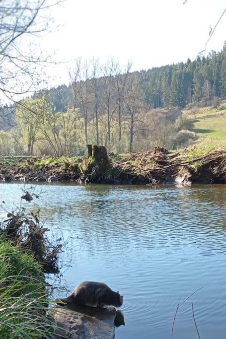 Ferienwohnung Ferienglueck Im Schwarzwald Zimmern ob Rottweil Exterior foto